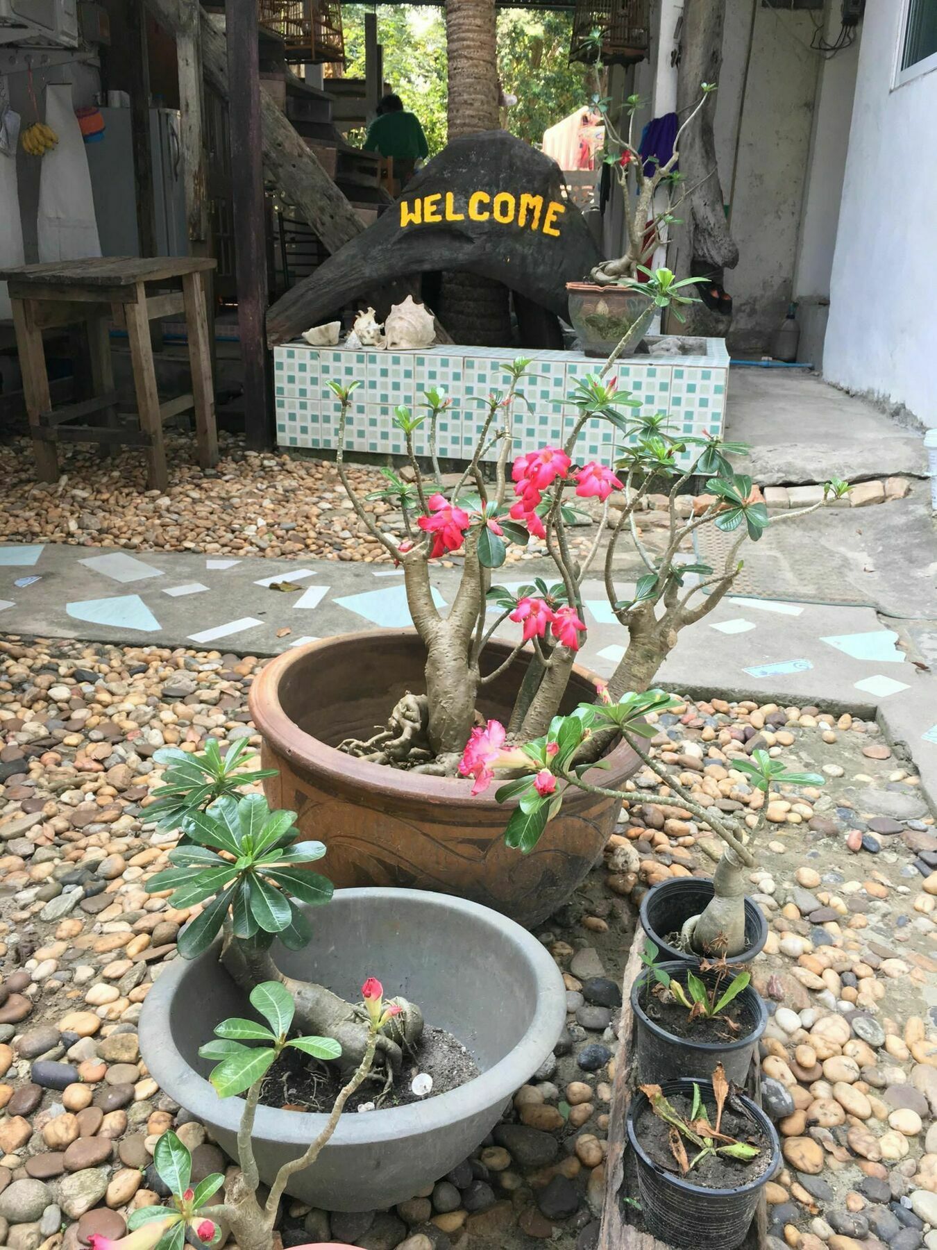 Miss Hong House Ξενοδοχείο Koh Samet Εξωτερικό φωτογραφία