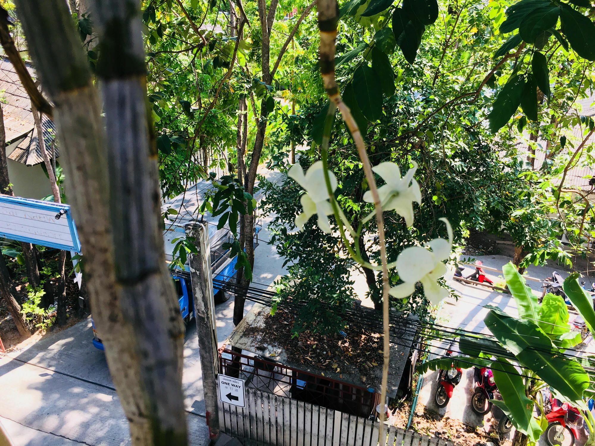 Miss Hong House Ξενοδοχείο Koh Samet Εξωτερικό φωτογραφία